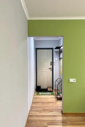 Cozy and Welcoming Apartments